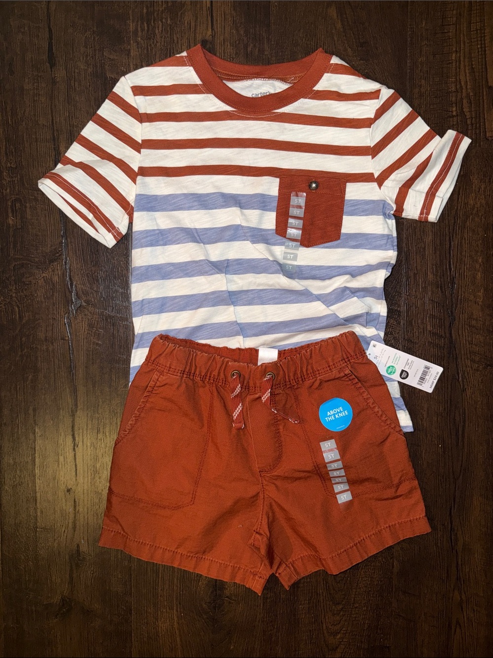 Cat & Jack Rust Orange and White Striped Tee with Rust Orange Shorts